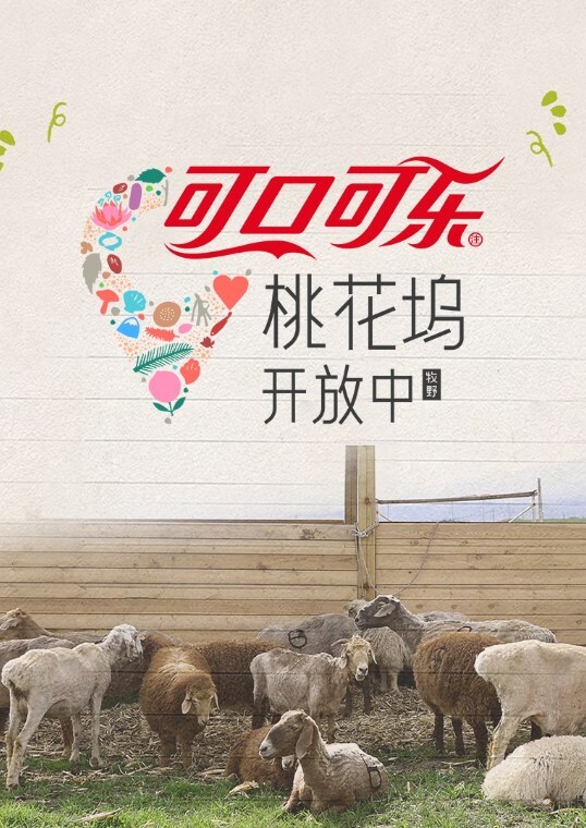 桃花坞开放中 第四季