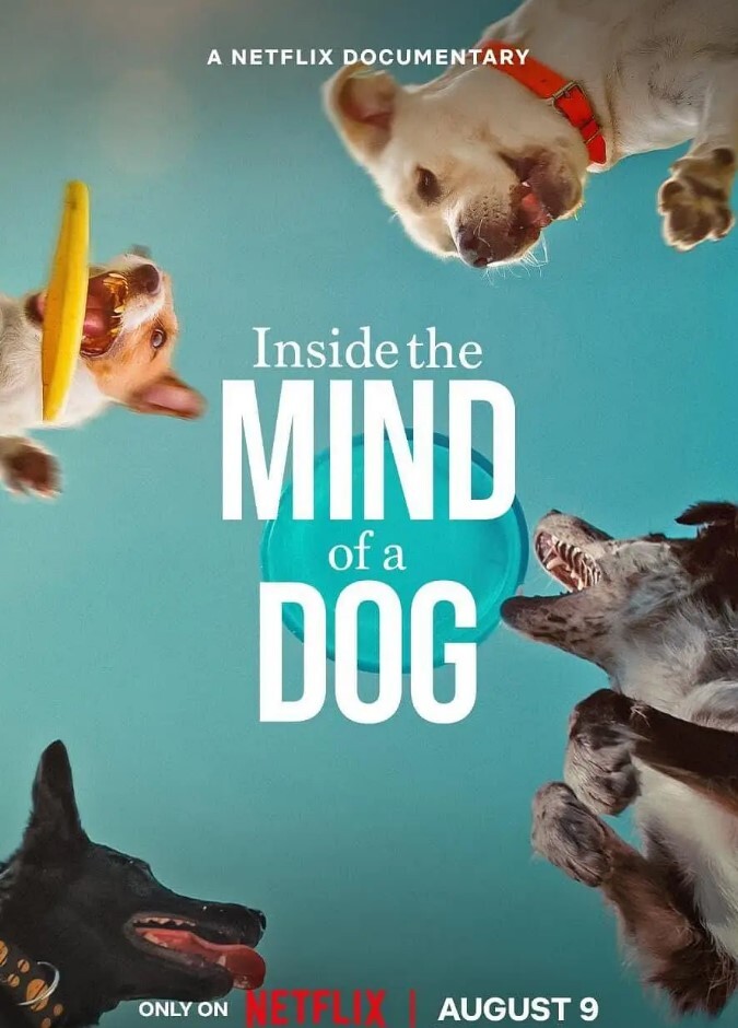 汪星人的奇思妙想