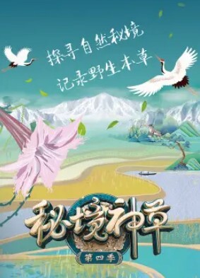 秘境神草 第四季