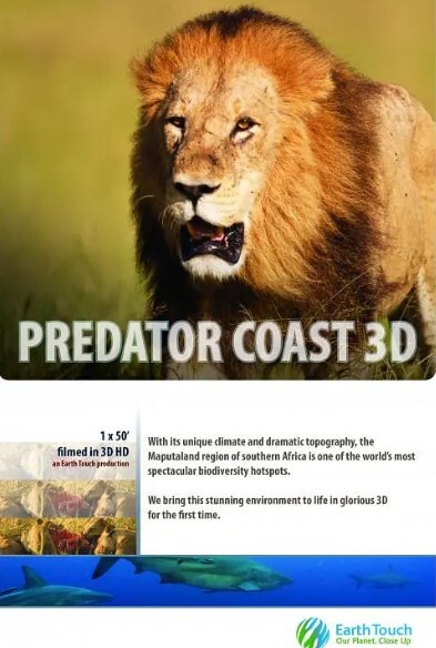 海岸线的掠食者