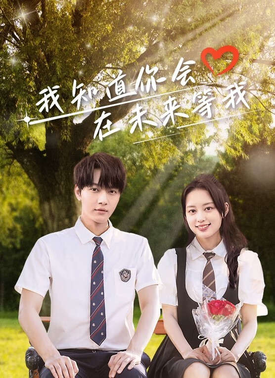 我知道你会在未来等我