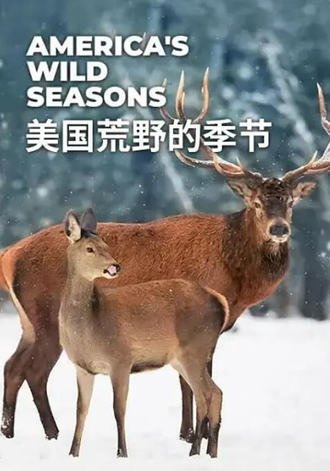 美国荒野的季节