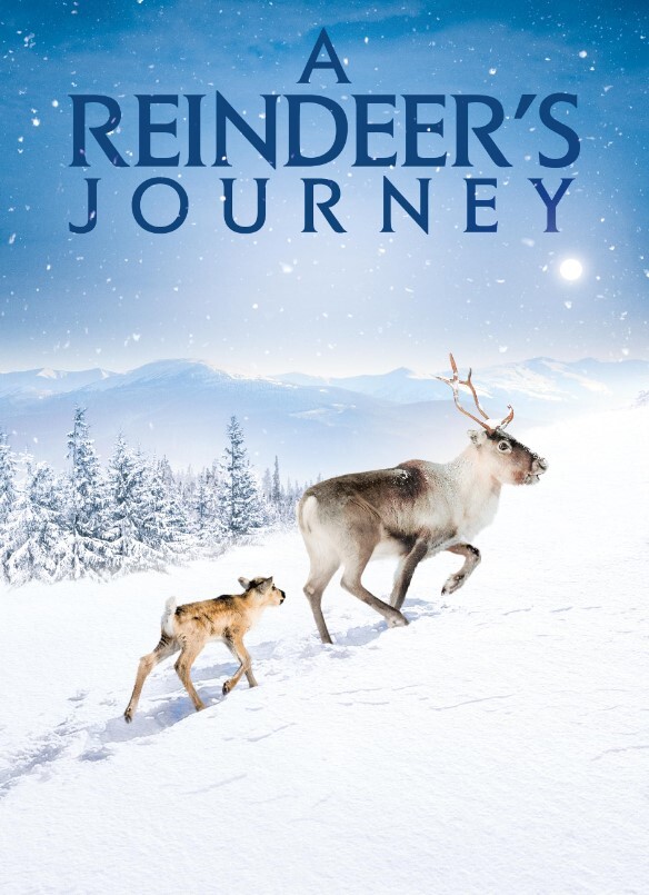 小鹿艾洛：极地的冒险史诗