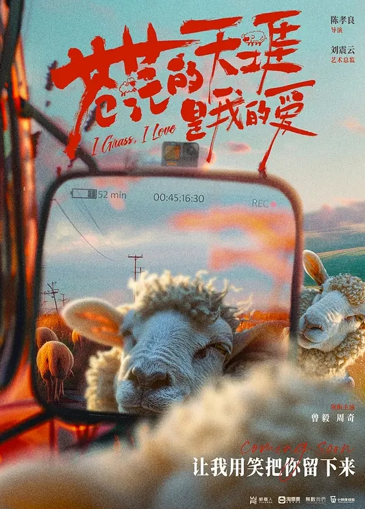 苍茫的天涯是我的爱