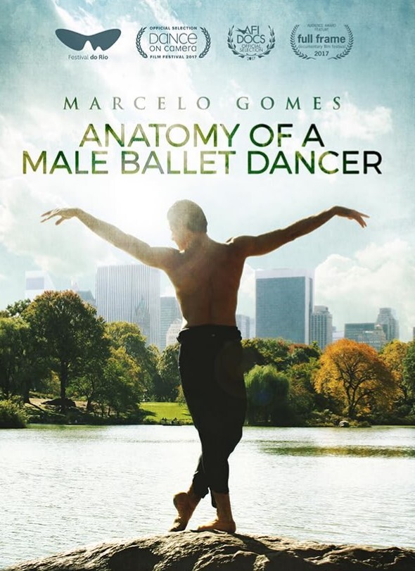 男性芭蕾舞演员的解剖