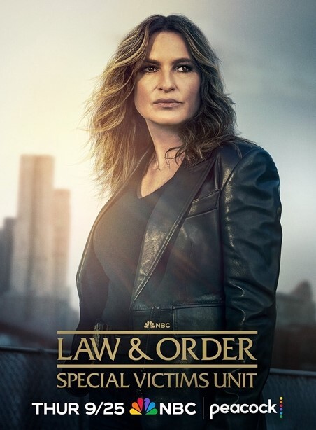 法律与秩序：特殊受害者 第二十七季