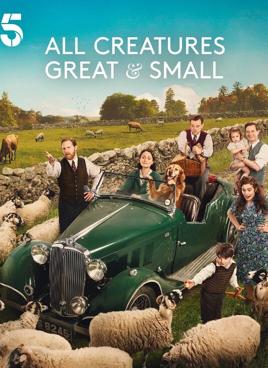 万物生灵 第六季